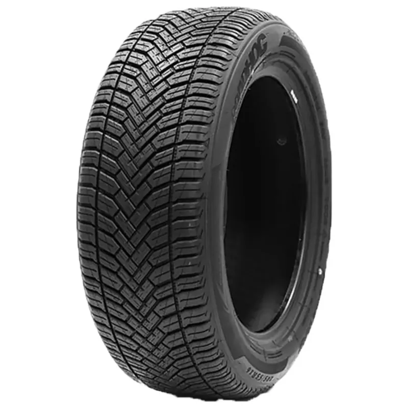 Bestpreis ROADHOG ROADHOG RGAS02 205/40R17 84W