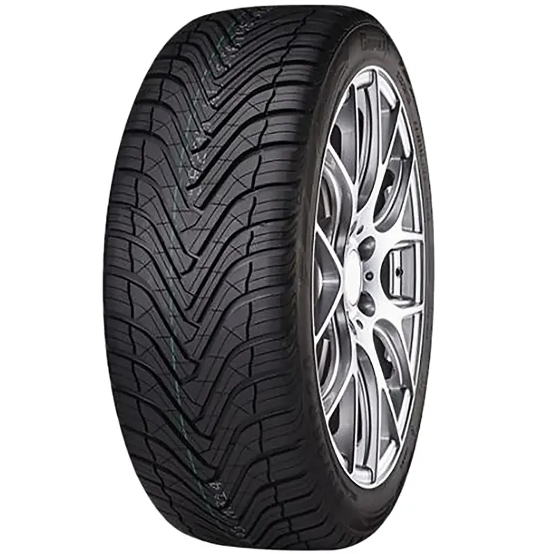 Sonderaktion GRIPMAX SUREGRIP A/S 205/55R17 95W XL BSW