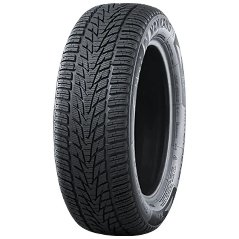 Begrenztes Angebot NANKANG WINTER ACTIVA SV-4 255/35R19 96W XL BSW