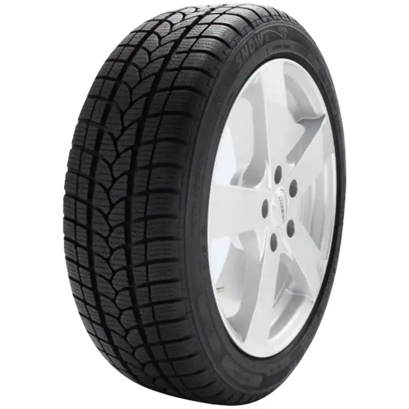 SEBRING FORMULA SNOW+ (601) 175/70R14 84T Preisreduziert