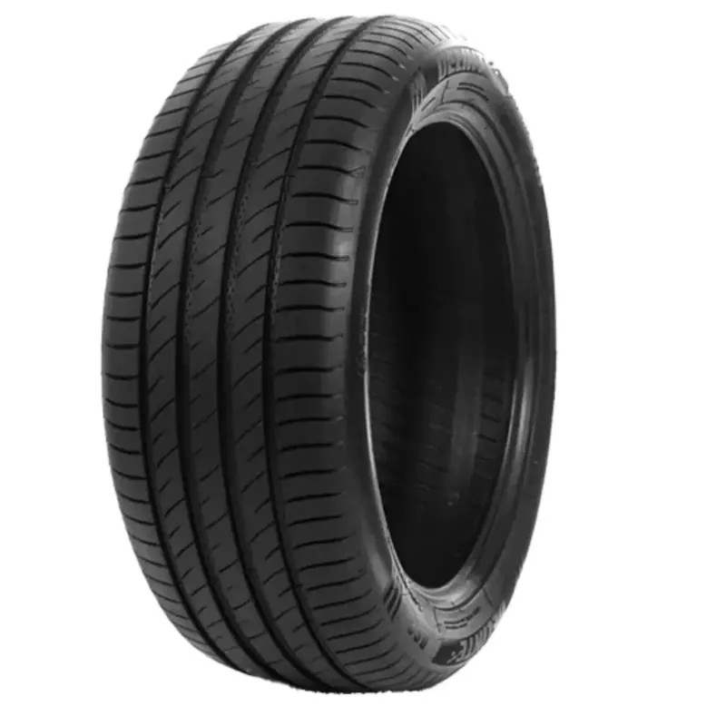 DELINTE DS2 255/45R18 99W BSW Highlight
