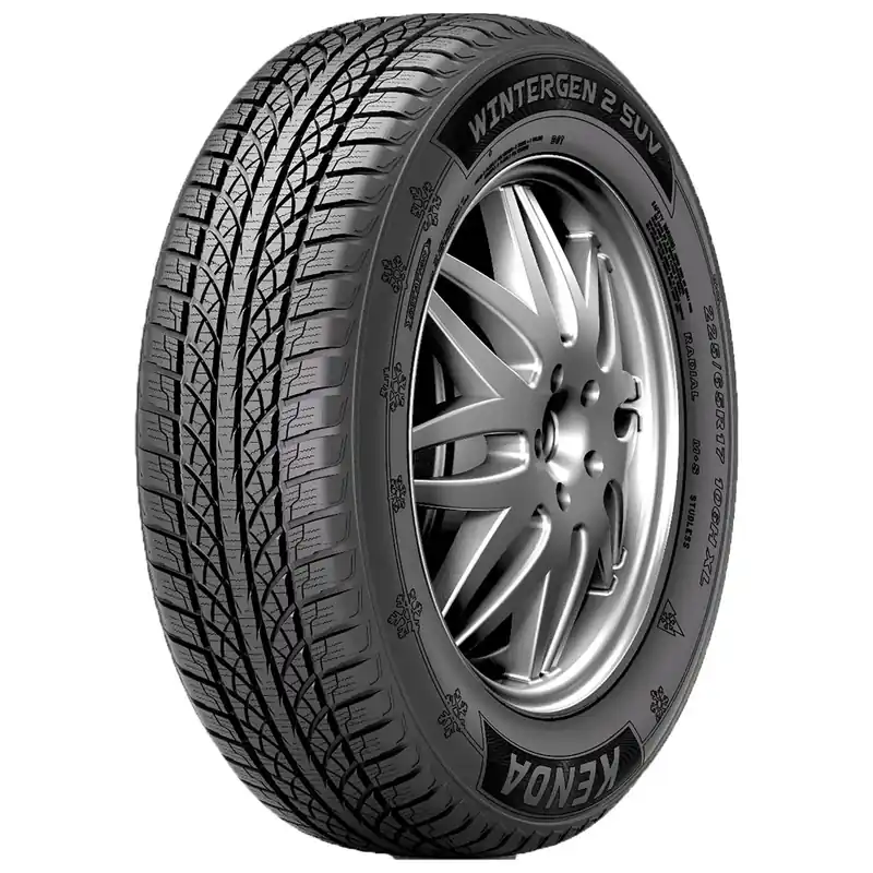 Begrenztes Angebot KENDA WINTERGEN 2 KR501 195/65R15 91H BSW