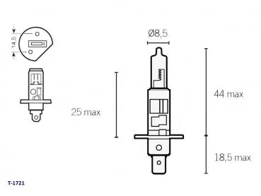 Lampe 12V H1 P14,5S Halogen 55 Watt Must-Have