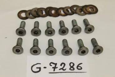 Honda VF500F, PC12, 12 original Bremsscheibenschrauben vorne, Billig