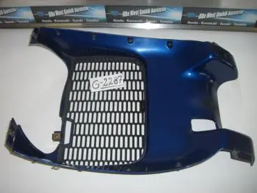 BMW K1100 LT, Bj. 05.05.92, Kühlerverkleidung, Niere Schnäppchen