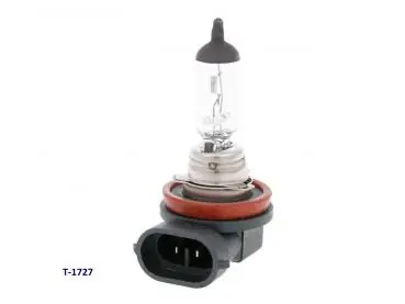 Lampe 12V H11 Halogen 55 Watt Schneller Versand