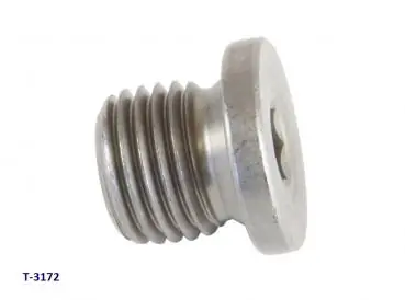Neu Stopfen M14x1,5 (anstatt Thermoschalter)