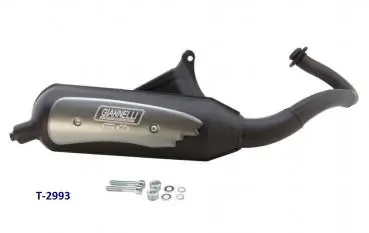 Auspuff GO Scooter 50 Piaggio 2-Takt Motor NRG Neue Kollektion