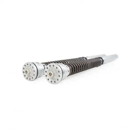 Heißes Angebot Öhlins TTX 25 Cartridge Set TTX Ducati V4S/Speciale 2018-2020 1199 Panigale S & R 2012-2014 1299 Panigale S 2015-2017