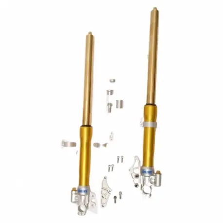 Öhlins Gabel für Yamaha XJR 1300 2001–2016 Highlight